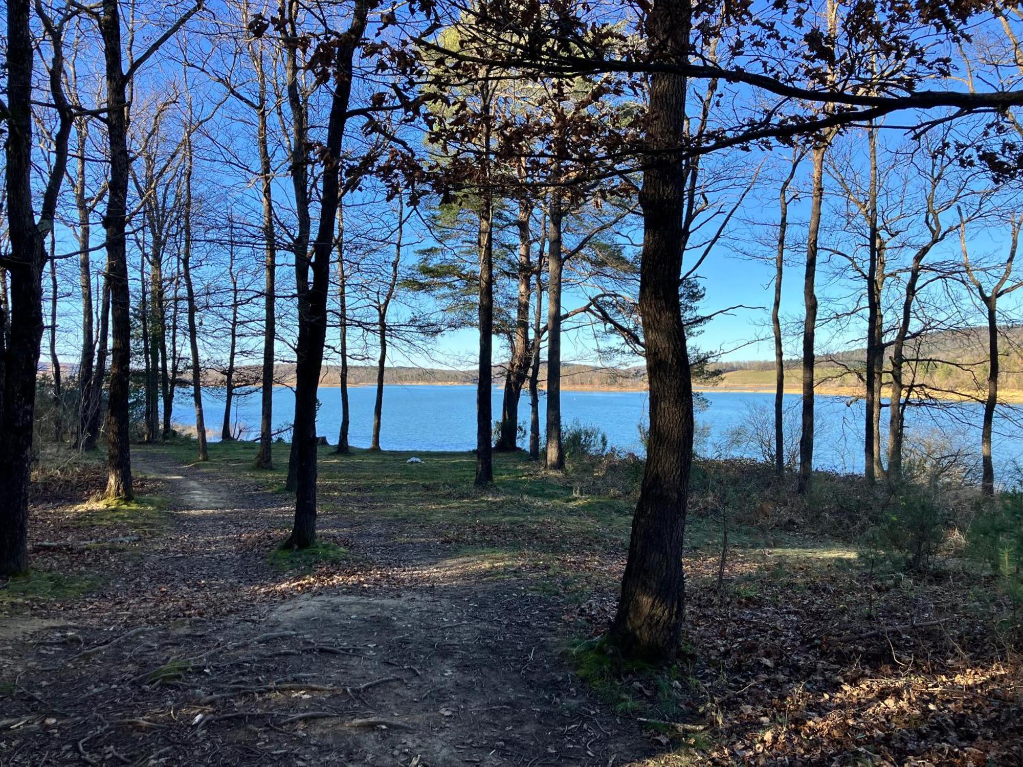 Maison Avec Vue Sur Le Lac De Montbel מראה חיצוני תמונה